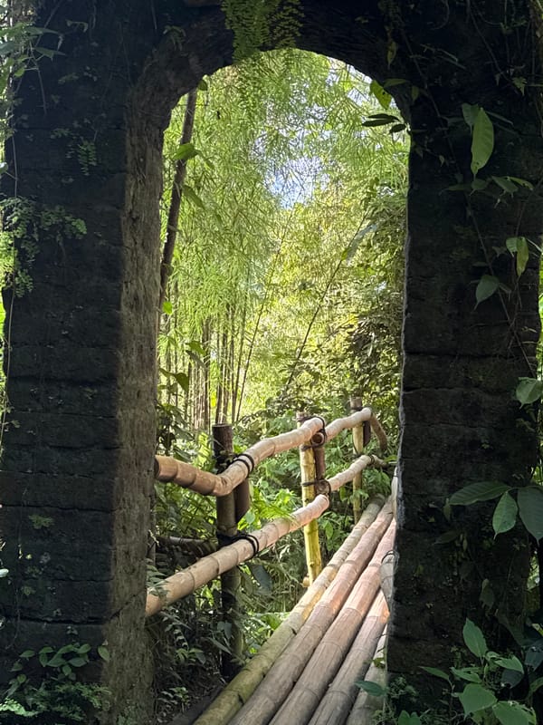 Natural scenes and bamboo bridge documented in Sayan, Indonesia