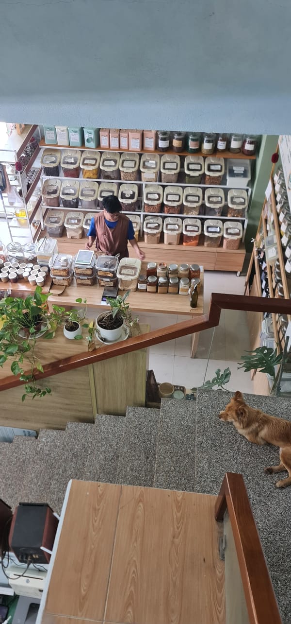 Family dog visits bookstore during morning shopping in Đà Nẵng