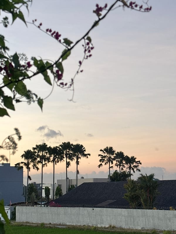 Flowering plants at dusk in North Kuta, Bali