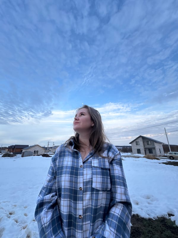 Late winter day captured in Russian village residential scenes