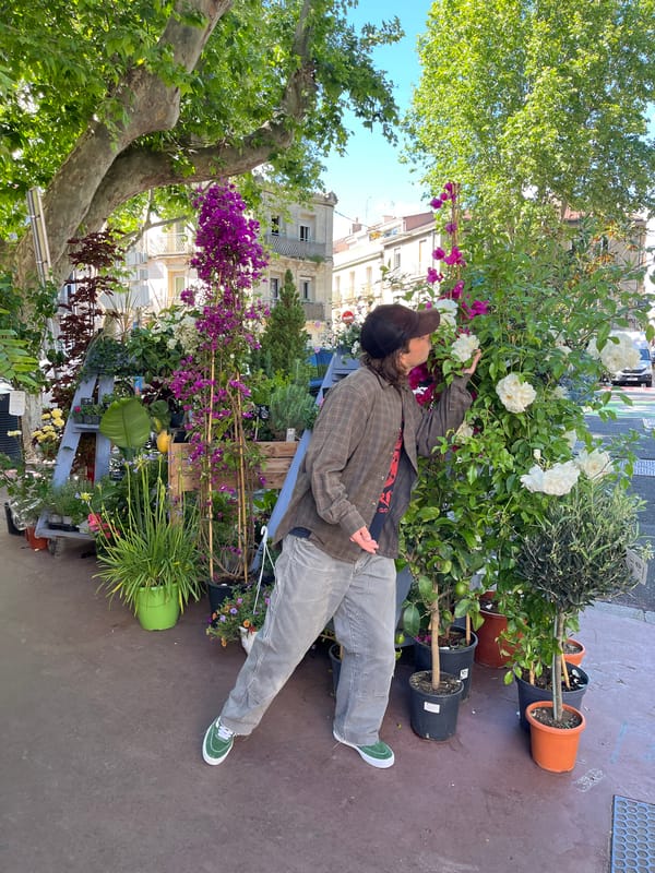 Flower shop activity observed in Montpellier, France
