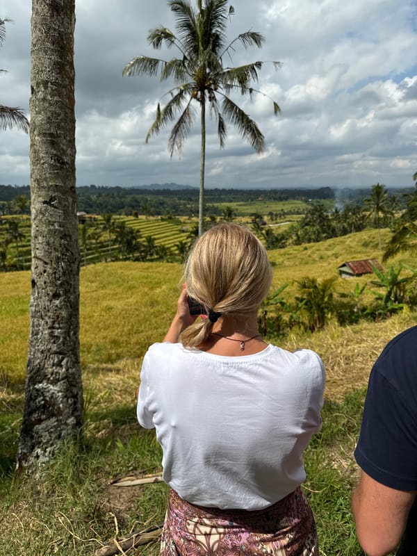 Tourists explore rice terraces and markets in Penebel, Indonesia