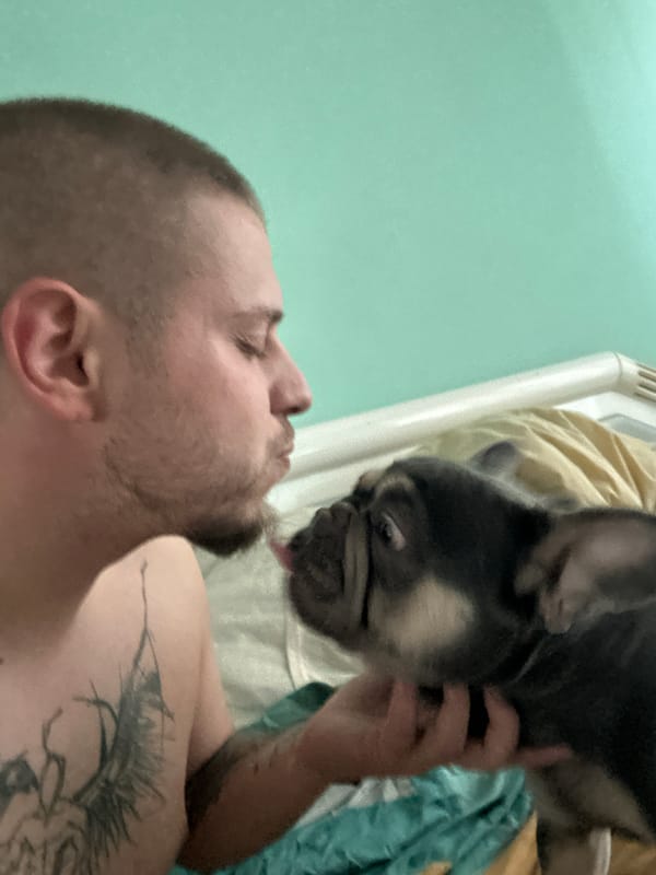 French bulldog bonds with new family during quiet afternoon