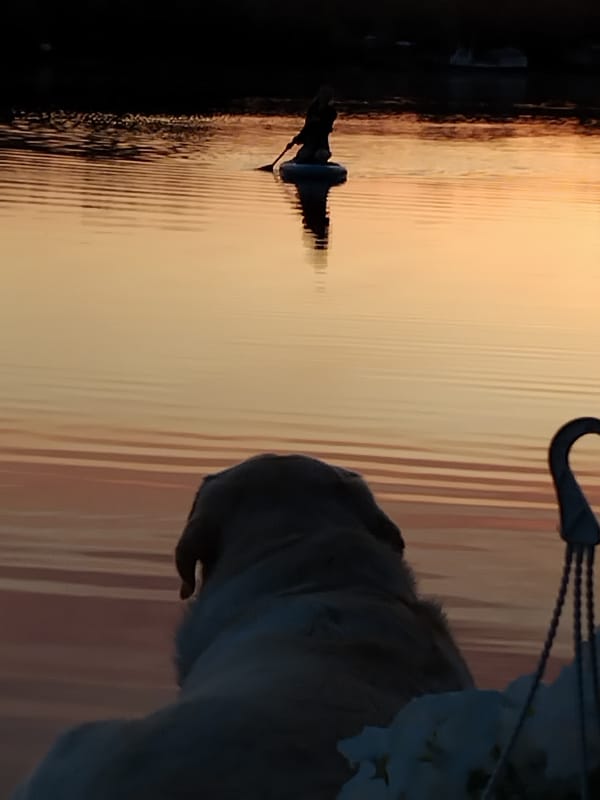Sunset along the Dnipro River, birds and shoreline in silhouette