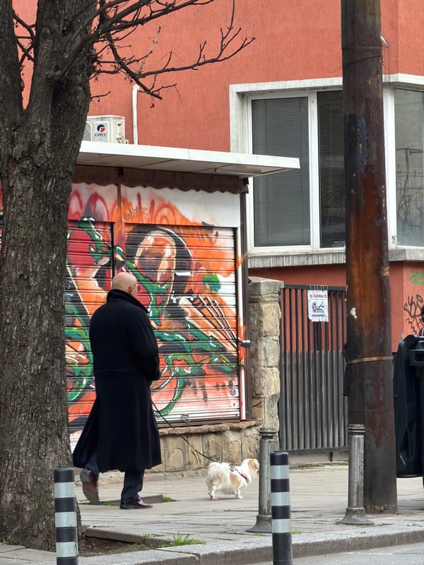 Man walks two small white dogs in Sofia