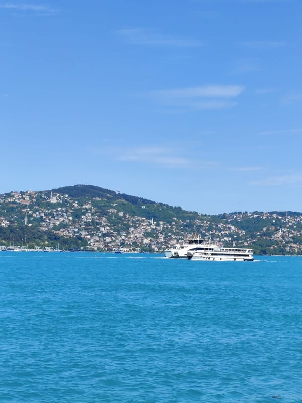 Sunny afternoon brings typical waterfront activity to Sarıyer, Turkey