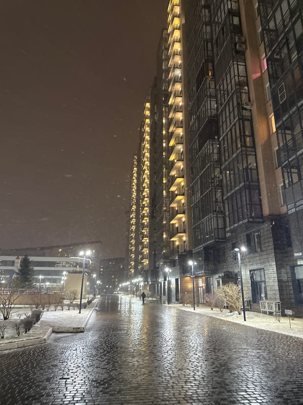 Evening snapshots capture snowy Krasnoyarsk streets and elevator selfie