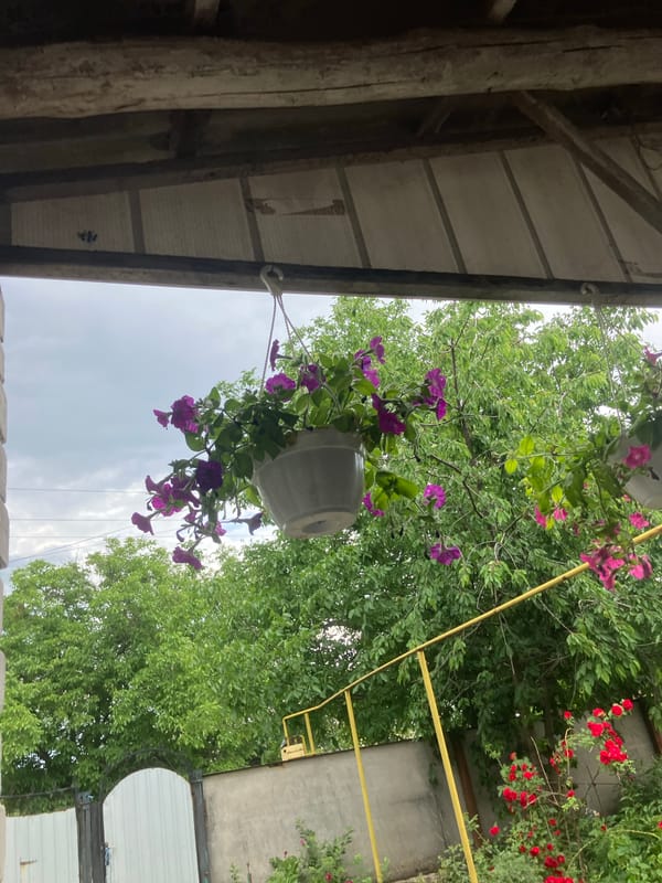 Resident documents daily life around Vovkivka property
