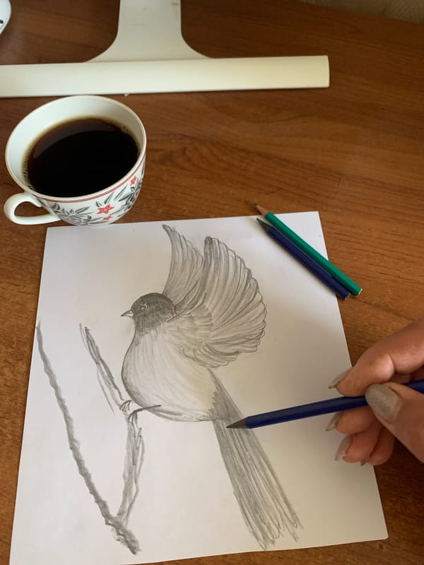 Afternoon sketching session and nature detail in Kavalerovo