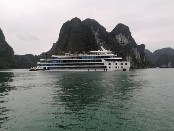 Dawn cruise tour navigates Ha Long Bay's limestone karsts