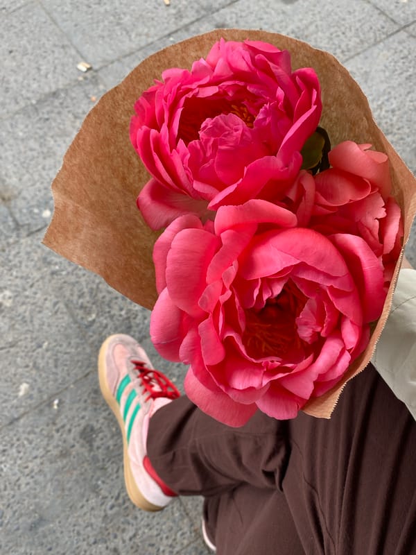 Pink peonies spotted in brown paper wrap, Berlin