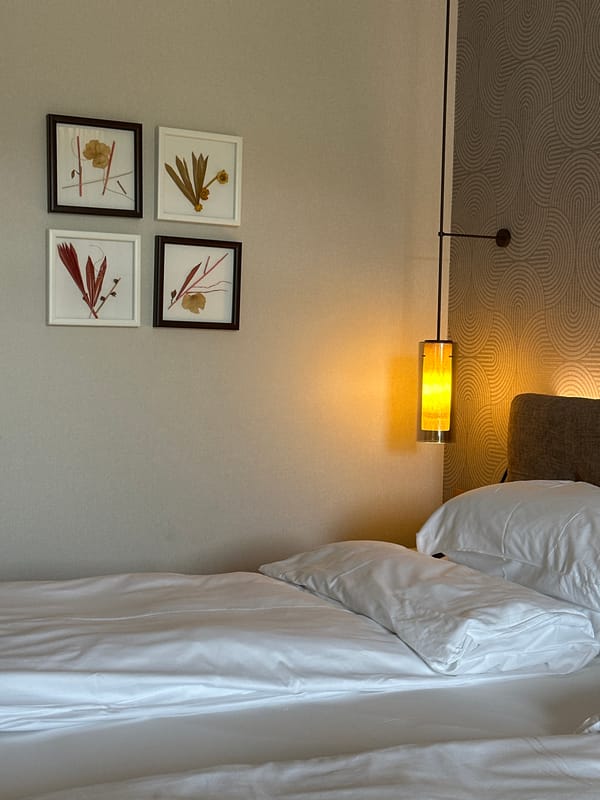 Morning hotel selfies captured across Bulgarian towns