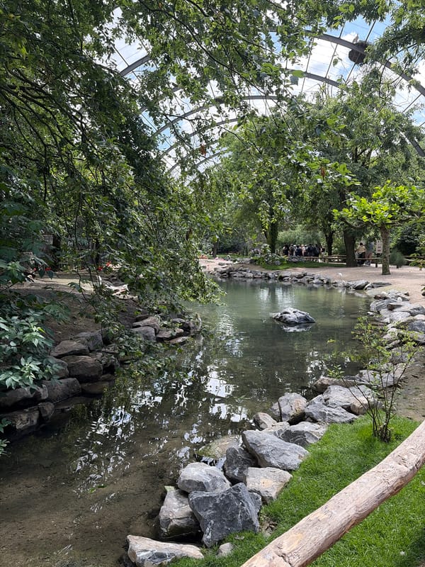 Morning zoo visit captures diverse wildlife at Belgian Pairi Daiza