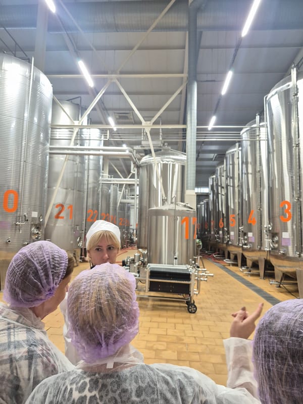 Behind-the-scenes tour of a Ufa sparkling wine facility