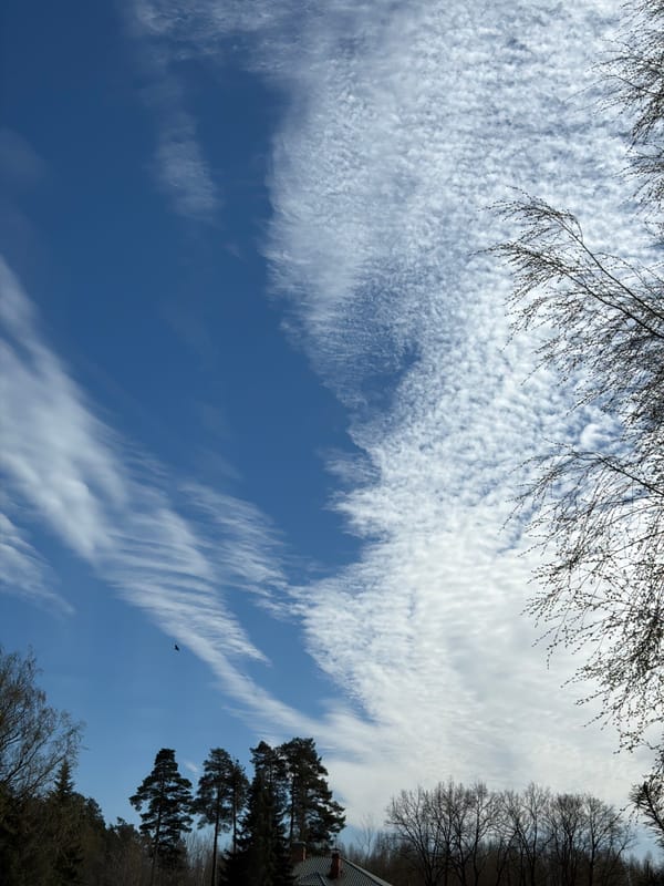 Clear spring skies observed over Dreiliņi, Latvia