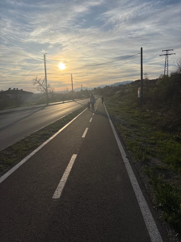 Witness Documents Standard Road Section with Lane Markings