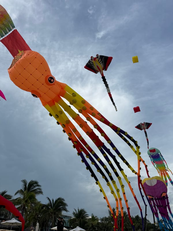 Giant inflatable sea creature kites fill the sky at Phú Thủy beach