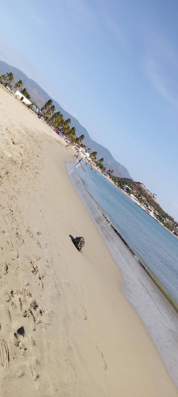 Evening beach gathering with swimming, kites, music system documented