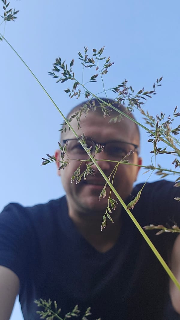 Man photographed outdoors among grass and flowers in Kyiv
