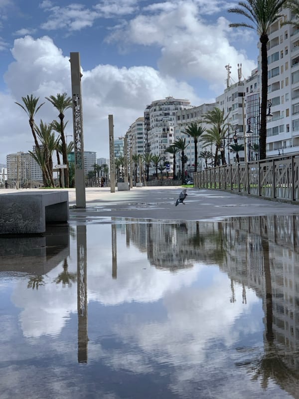 Daily life unfolds across Tangier's waterfront districts