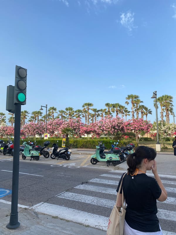 Valencia's beachside streets on a sunny June afternoon
