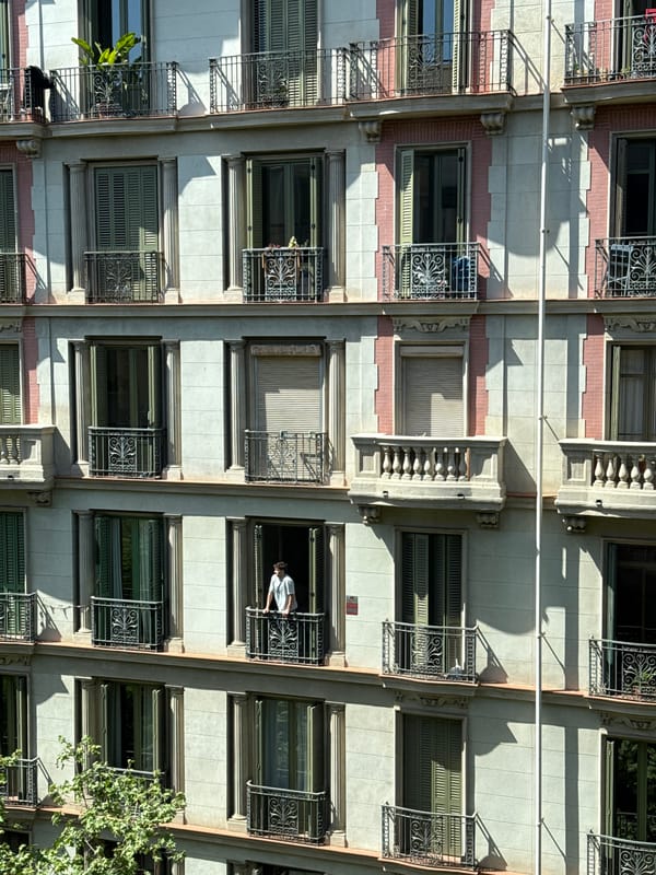 Person in white shirt spotted at ornate Barcelona building window