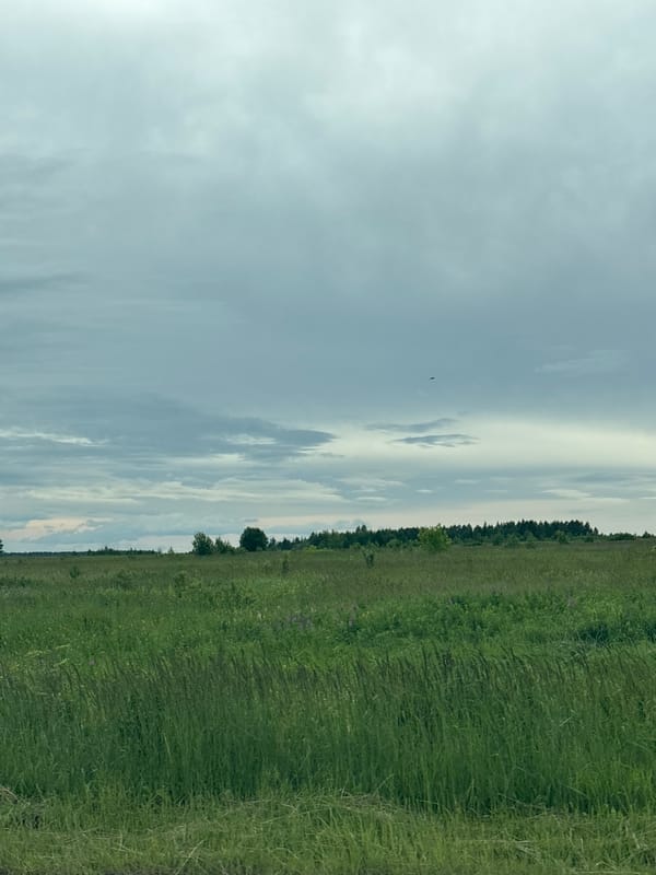 Driving through rural Foteni under a cloudy summer sky