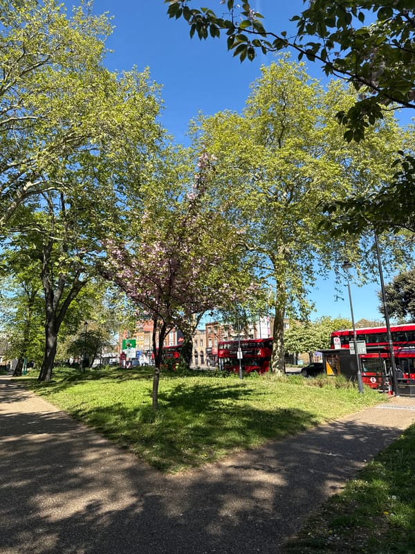 Red double-decker buses spotted on London street