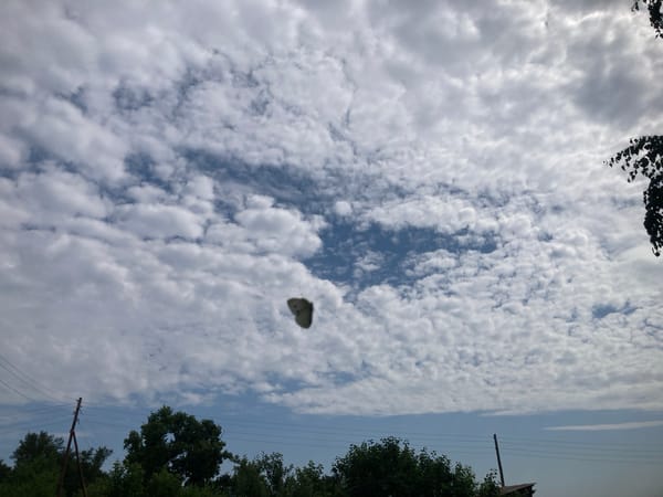 Partly cloudy skies over rural Ракиты, Russia
