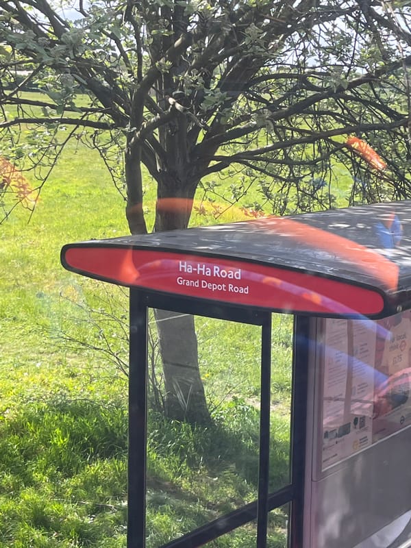 London bus stop documented at Ha-Ha Road intersection
