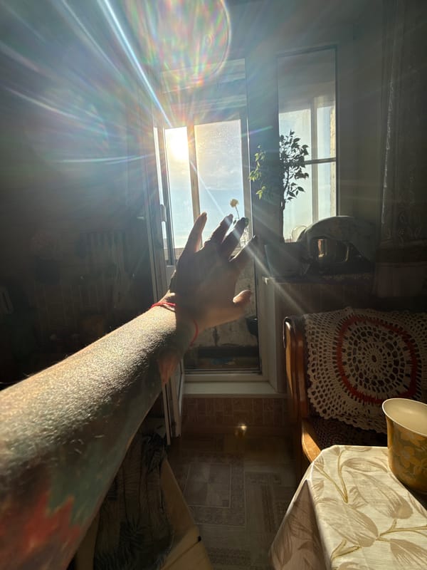 Ordinary afternoon moments documented across Moscow parks and homes