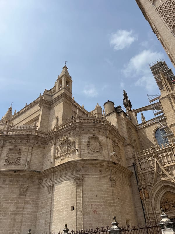 Witnesses document historic cathedral architecture in Seville square