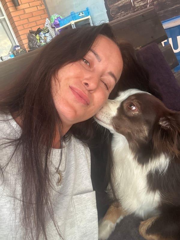 Lazy afternoon with an Australian Shepherd in Irkutsk