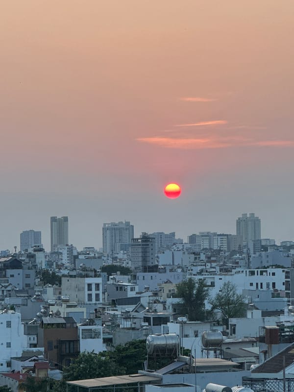 Ho Chi Minh City sunset and pink flowers captured