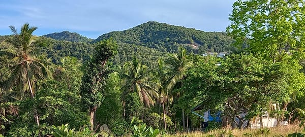 Tropical landscape documented in Baan Wang Ta Kien, Thailand