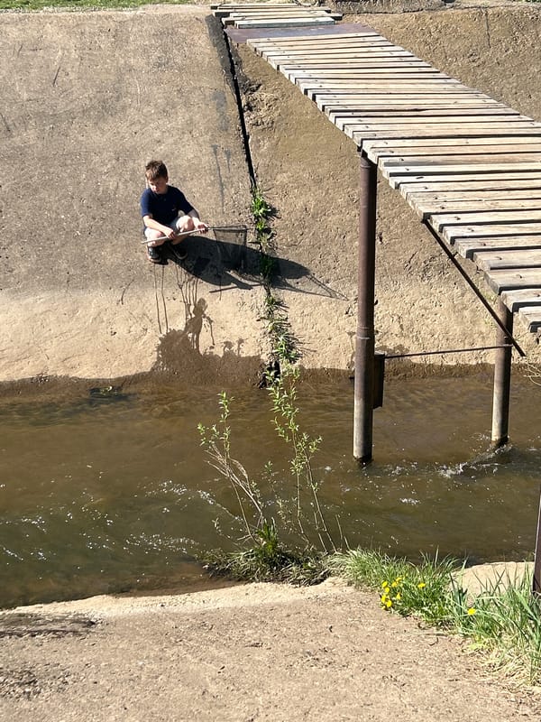 Families enjoy spring day by waterway in Chaikovsky, Russia