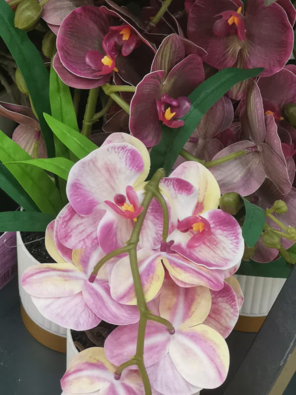 Evening around Cherkessk: shops, street lights, and fake flowers