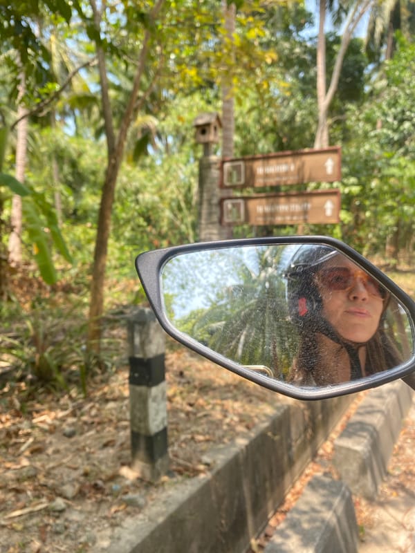 Morning motorbike ride documented on palm-lined road in Thailand