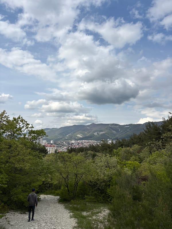 Person spotted at scenic overlook, pine forest in Gelendzhik