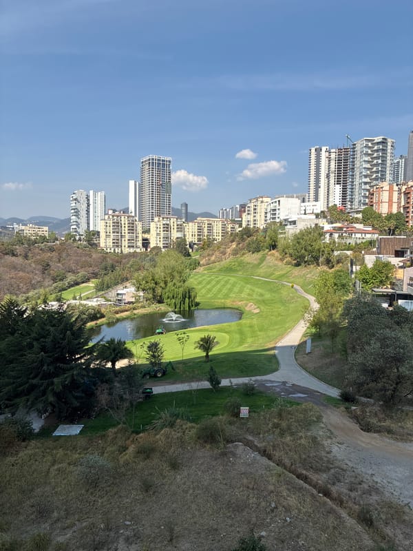 Resident documents pets and neighborhood views in Mexican suburb