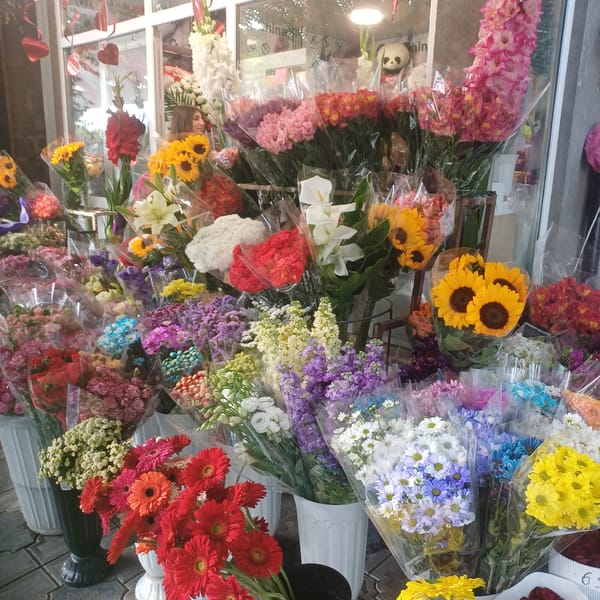 Flower stand displays vibrant blooms at outdoor marketplace