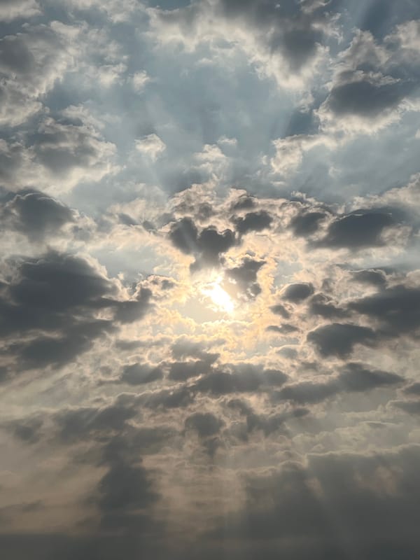 Morning sunbreak over Nam Natural Heritage Area, Vietnam