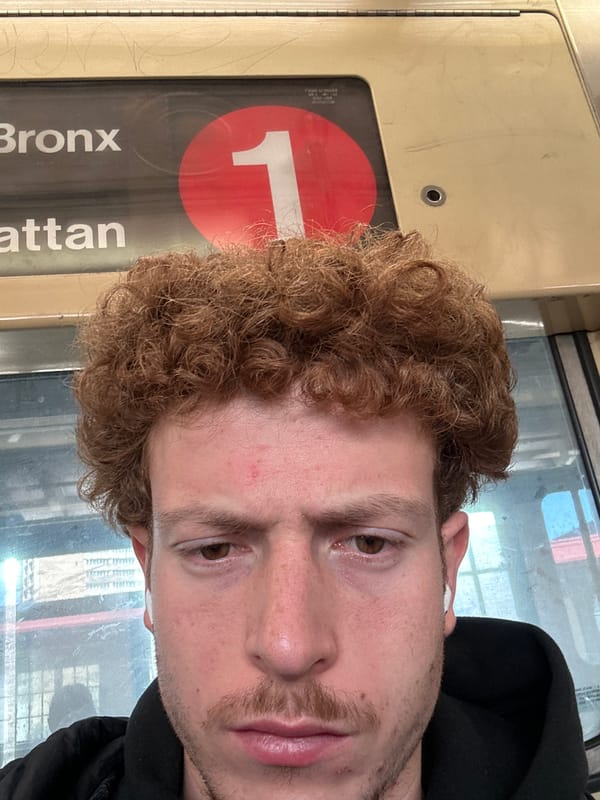 Man takes selfie on NYC subway car