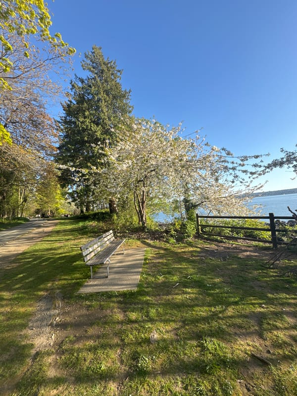 Morning scenes documented at Vancouver's Stanley Park seawall