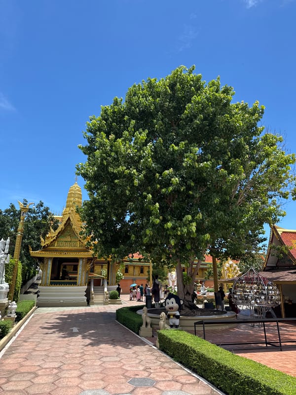 Early morning temple visit documented at Wat Asokaram, Thailand