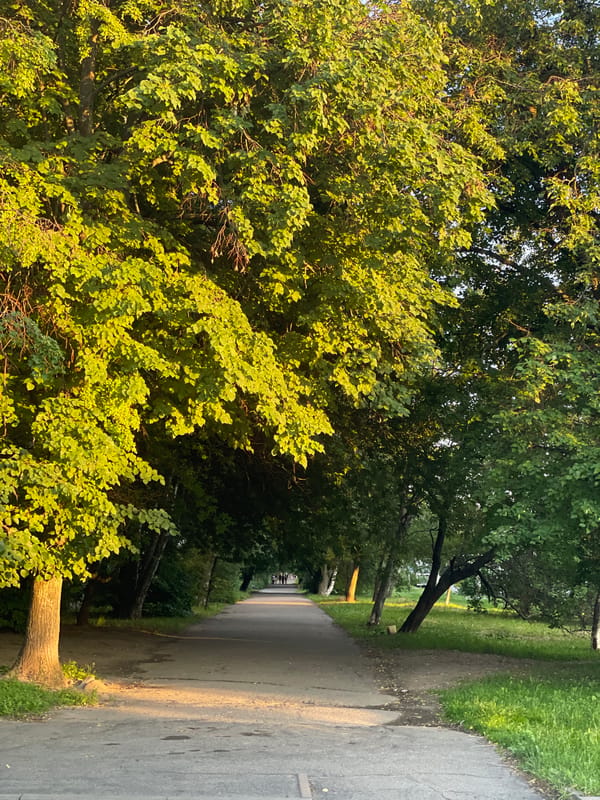 Afternoon botanical walk documented through parks in Poltava, Ukraine