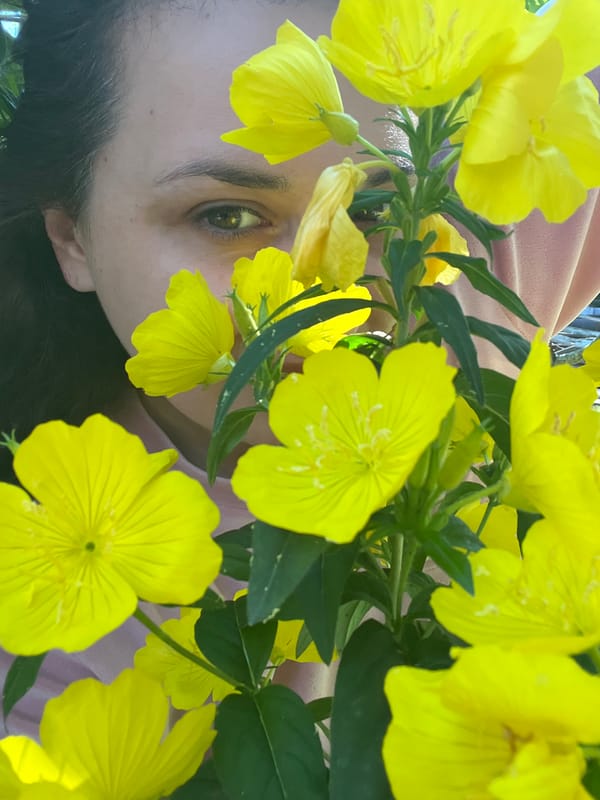 Garden moments: flowers, pets, and quiet discoveries