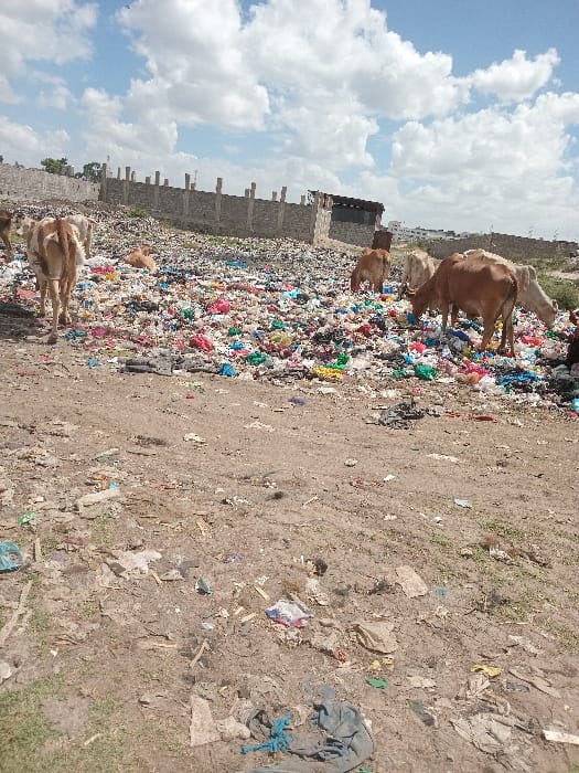 Daily life documented across Nairobi neighborhoods and communities