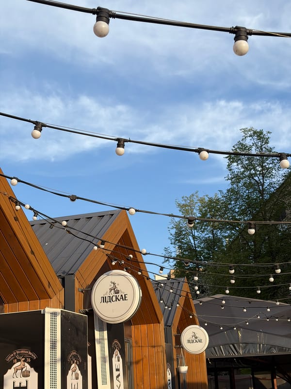 Outdoor dining scene with dog observed in Minsk