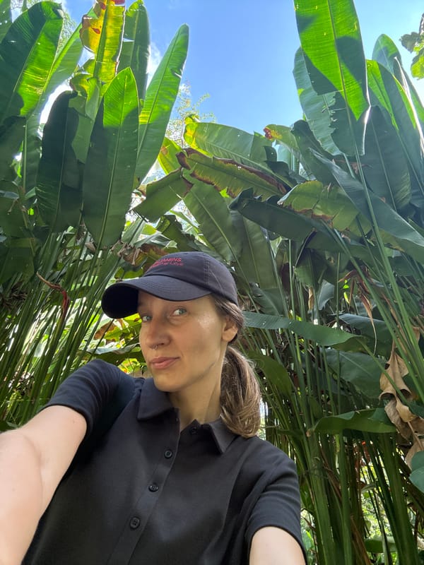 Morning stroll through a tropical garden in Kuta Selatan
